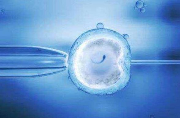 2024输卵管结扎了还可以做试管婴儿吗多少钱
