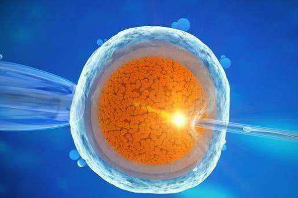 做三代试管前如何评估卵巢功能，这些关键指标要知晓