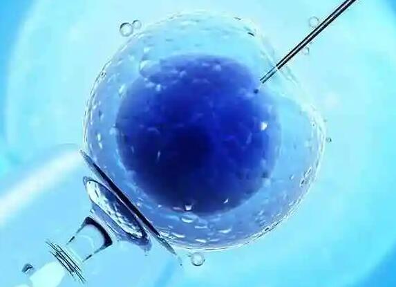做泰国试管婴儿为什么要限制胚胎移植的数量