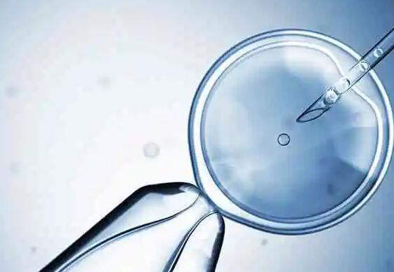 试管婴儿囊胚移植的几率高吗附优势与注意事项