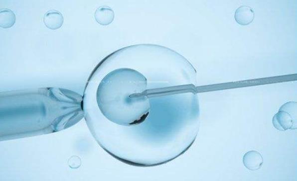 什么是葡萄胎，在美国试管婴儿可以避免葡萄胎吗