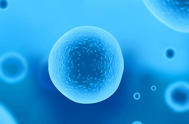 合肥有哪些私立的机构可以做试管技术，试管fet周期是囊胚还是冻胚移植