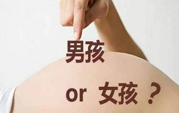 为何中国单身不能接受试管婴儿，是因为法律不允许吗