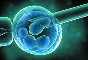 降调后移植冻胚有哪些流程详细步骤解析