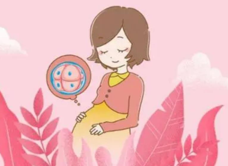 单身女可以去泰国医院做试管婴儿吗如何备孕