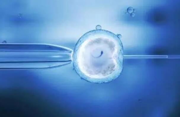 试管胚胎移植前必做三件事，补充好营养是关键