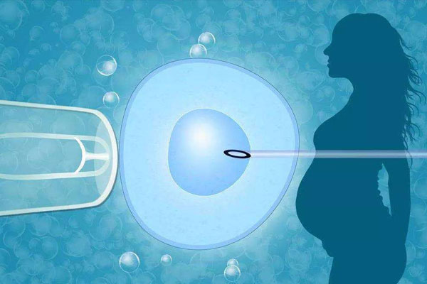 试管胚胎移植前大概什么阶段医会让停甲硝唑片