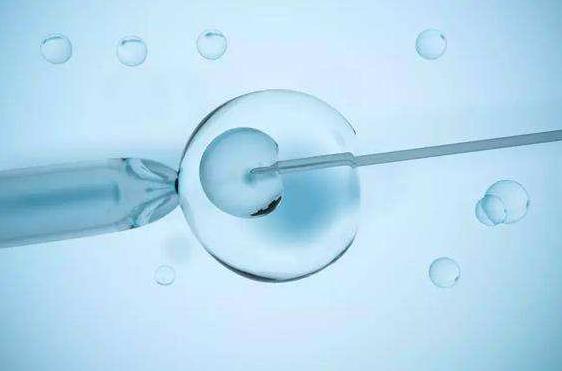 试管婴儿单个囊胚移植有什么好处
